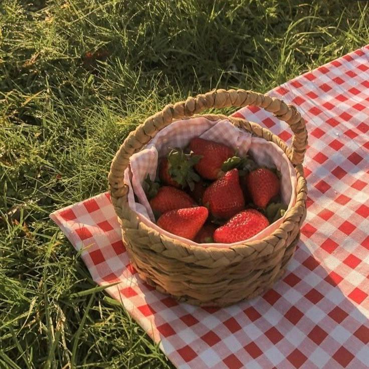 Folksy Berry Patch: Artisanal Flavor Trove